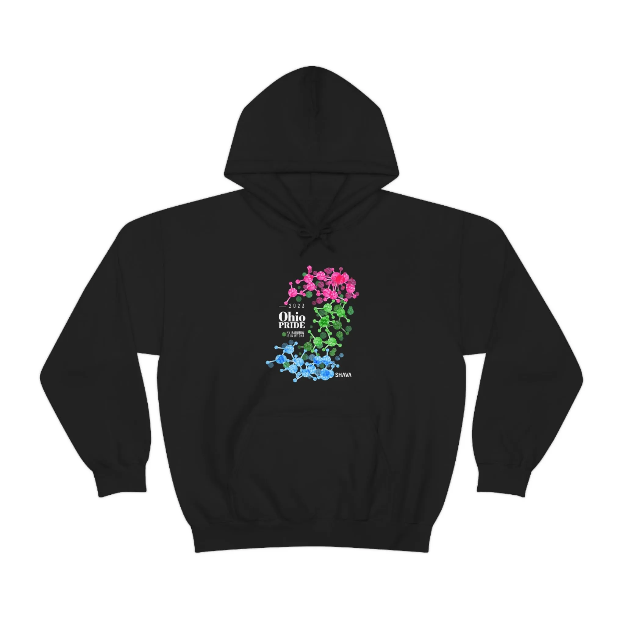 SHAVA CO Polysexual Flag 2023 Pride, Ohio Unisex Heavy Blend™ Hooded Sweatshirt - My Rainbow Is In My DNA