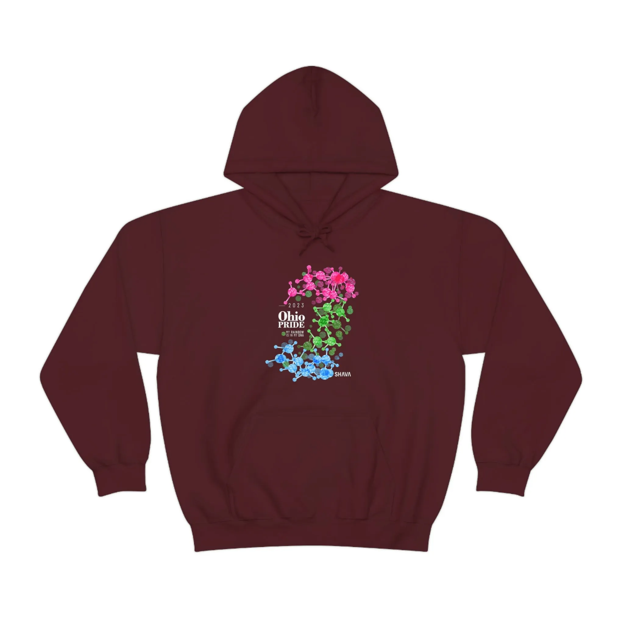 SHAVA CO Polysexual Flag 2023 Pride, Ohio Unisex Heavy Blend™ Hooded Sweatshirt - My Rainbow Is In My DNA