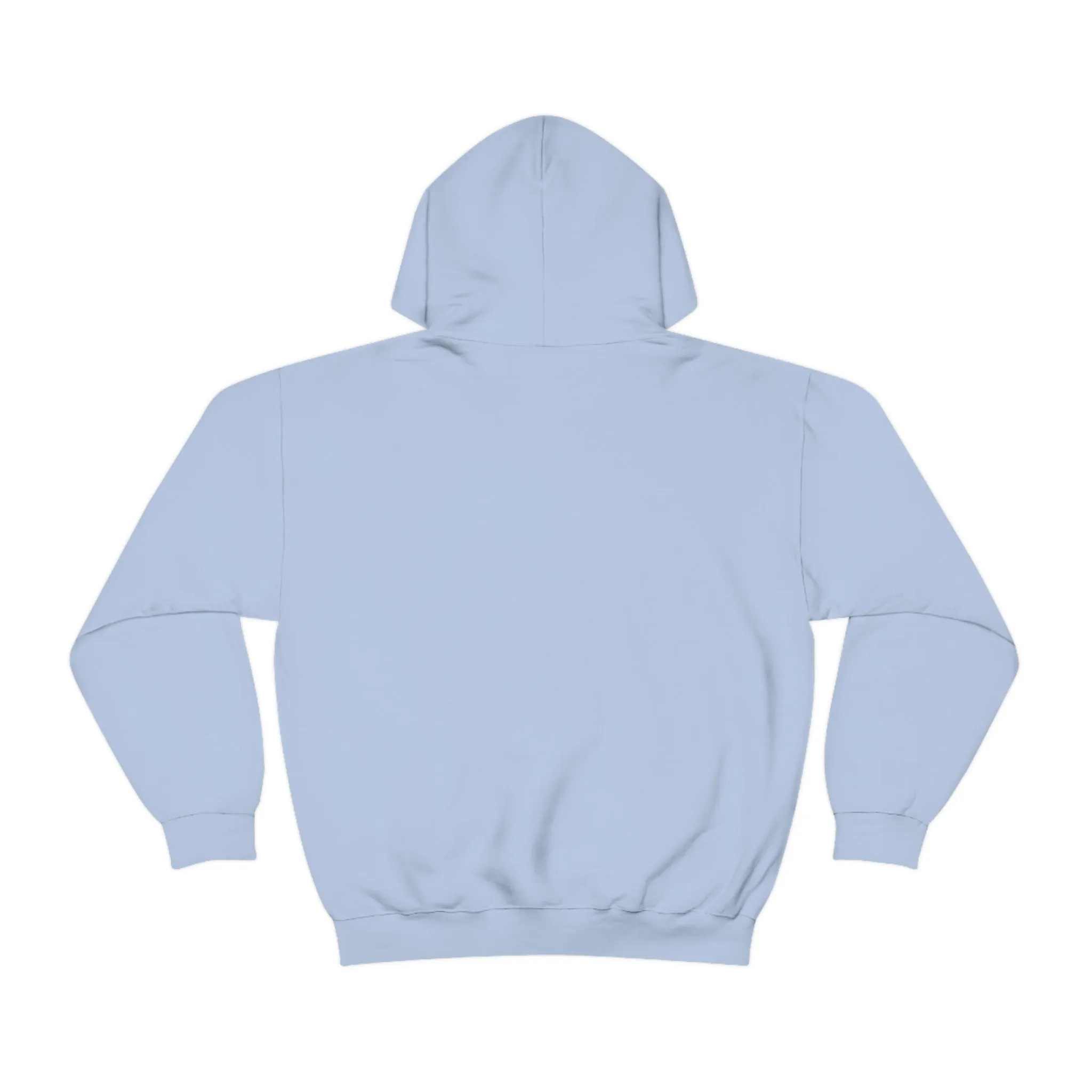 SHAVA CO Straight Ally Flag 2023 Pride, Chicago Unisex Heavy Blend™ Hooded Sweatshirt - My Rainbow Is In My DNA