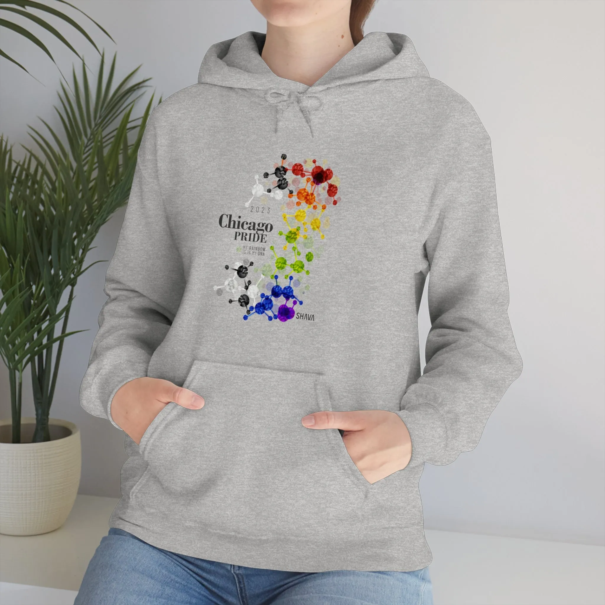 SHAVA CO Straight Ally Flag 2023 Pride, Chicago Unisex Heavy Blend™ Hooded Sweatshirt - My Rainbow Is In My DNA