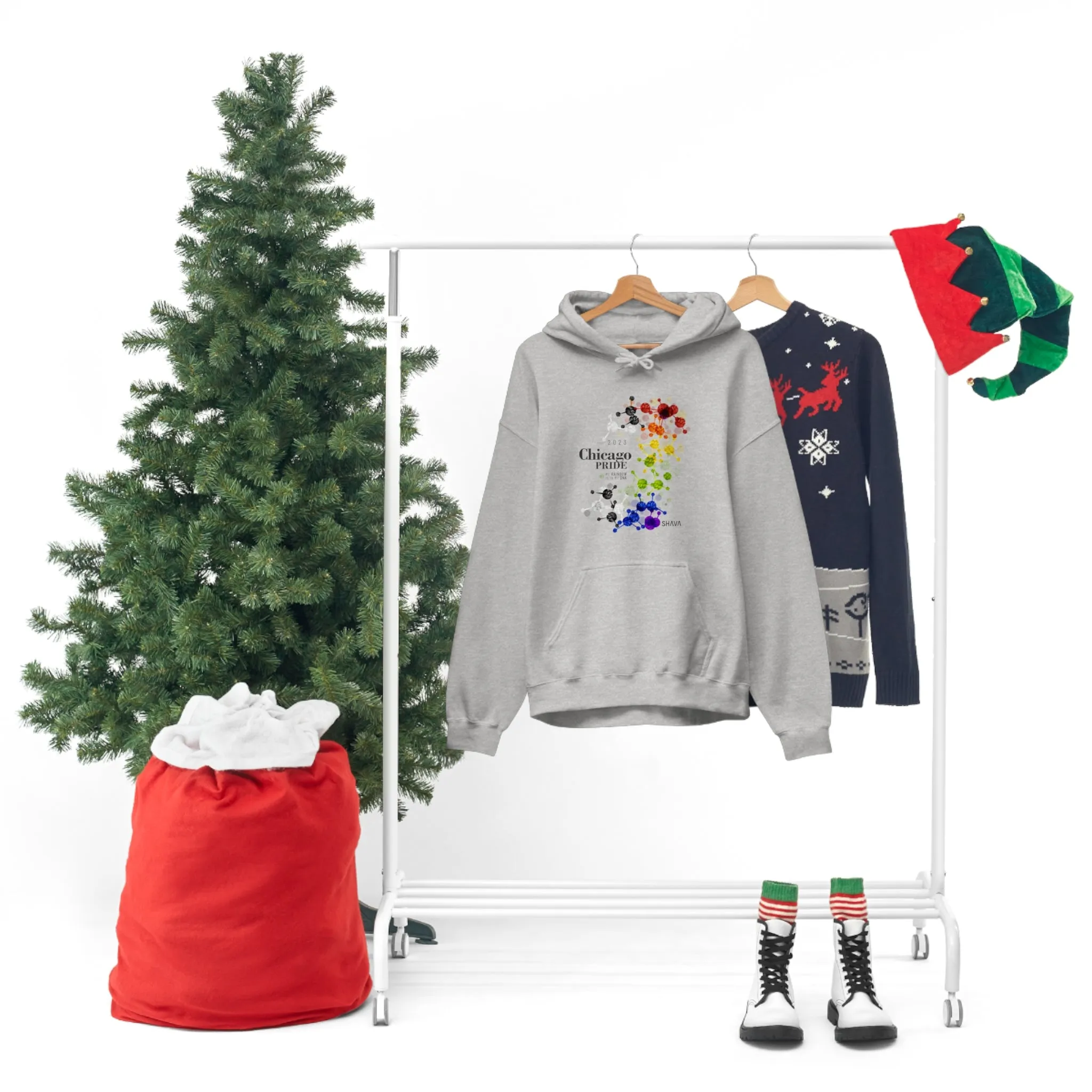 SHAVA CO Straight Ally Flag 2023 Pride, Chicago Unisex Heavy Blend™ Hooded Sweatshirt - My Rainbow Is In My DNA