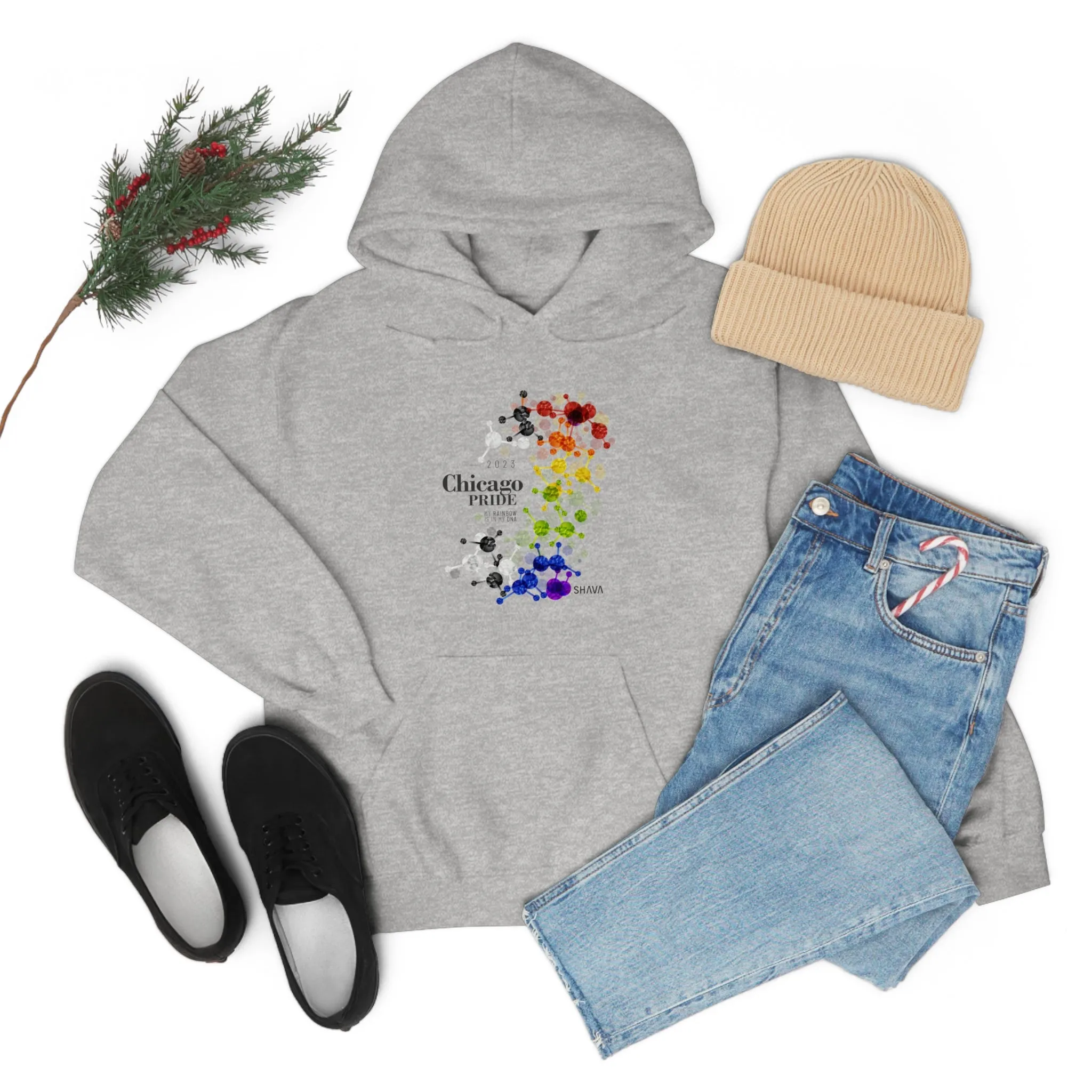 SHAVA CO Straight Ally Flag 2023 Pride, Chicago Unisex Heavy Blend™ Hooded Sweatshirt - My Rainbow Is In My DNA