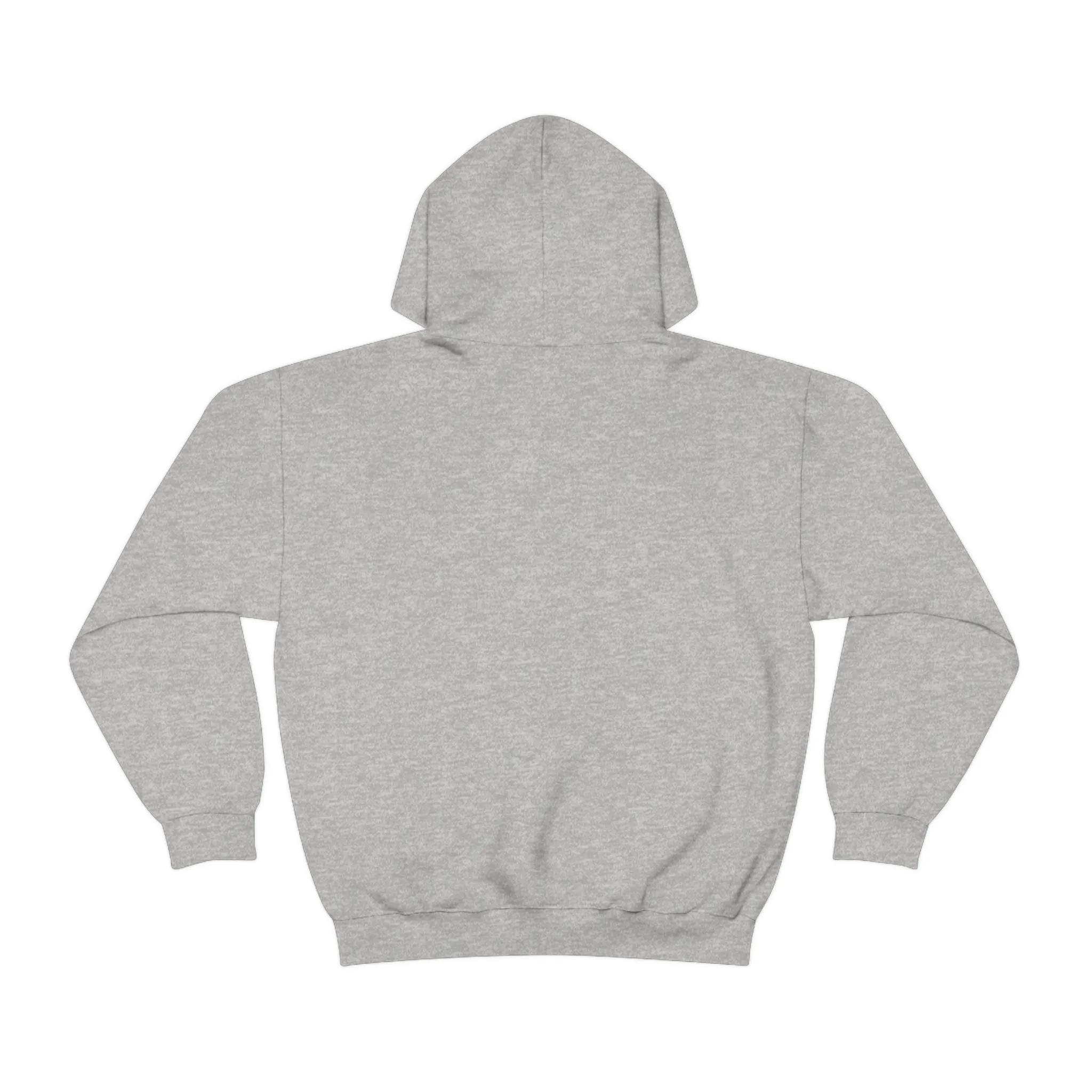 SHAVA CO Straight Ally Flag 2023 Pride, Chicago Unisex Heavy Blend™ Hooded Sweatshirt - My Rainbow Is In My DNA