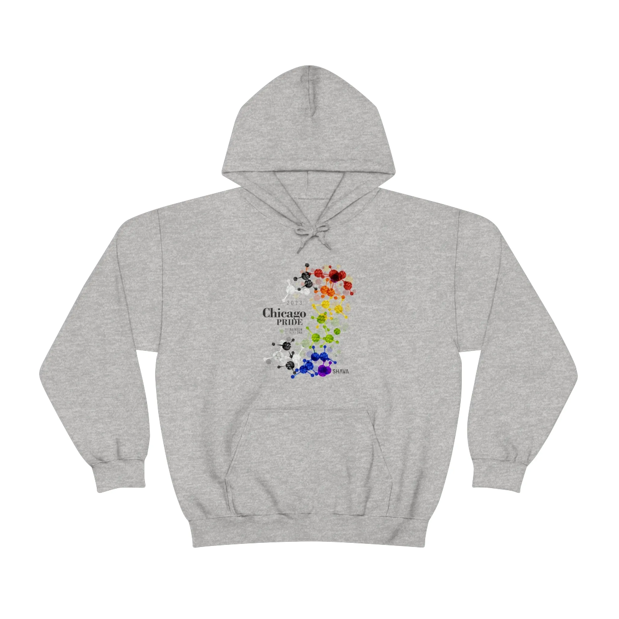 SHAVA CO Straight Ally Flag 2023 Pride, Chicago Unisex Heavy Blend™ Hooded Sweatshirt - My Rainbow Is In My DNA