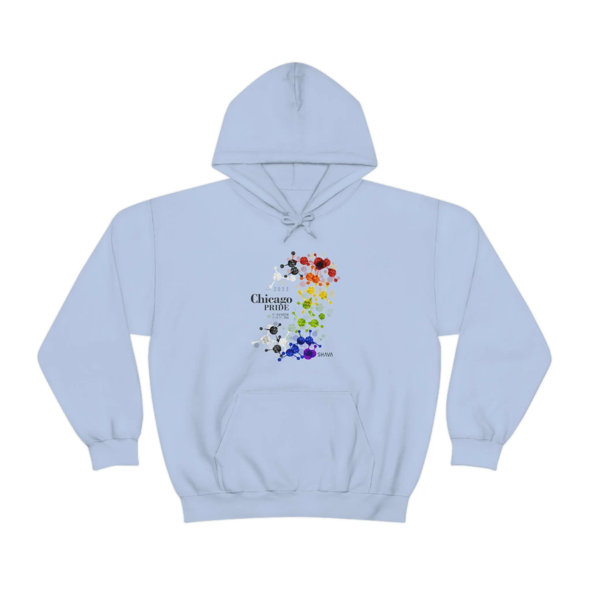 SHAVA CO Straight Ally Flag 2023 Pride, Chicago Unisex Heavy Blend™ Hooded Sweatshirt - My Rainbow Is In My DNA