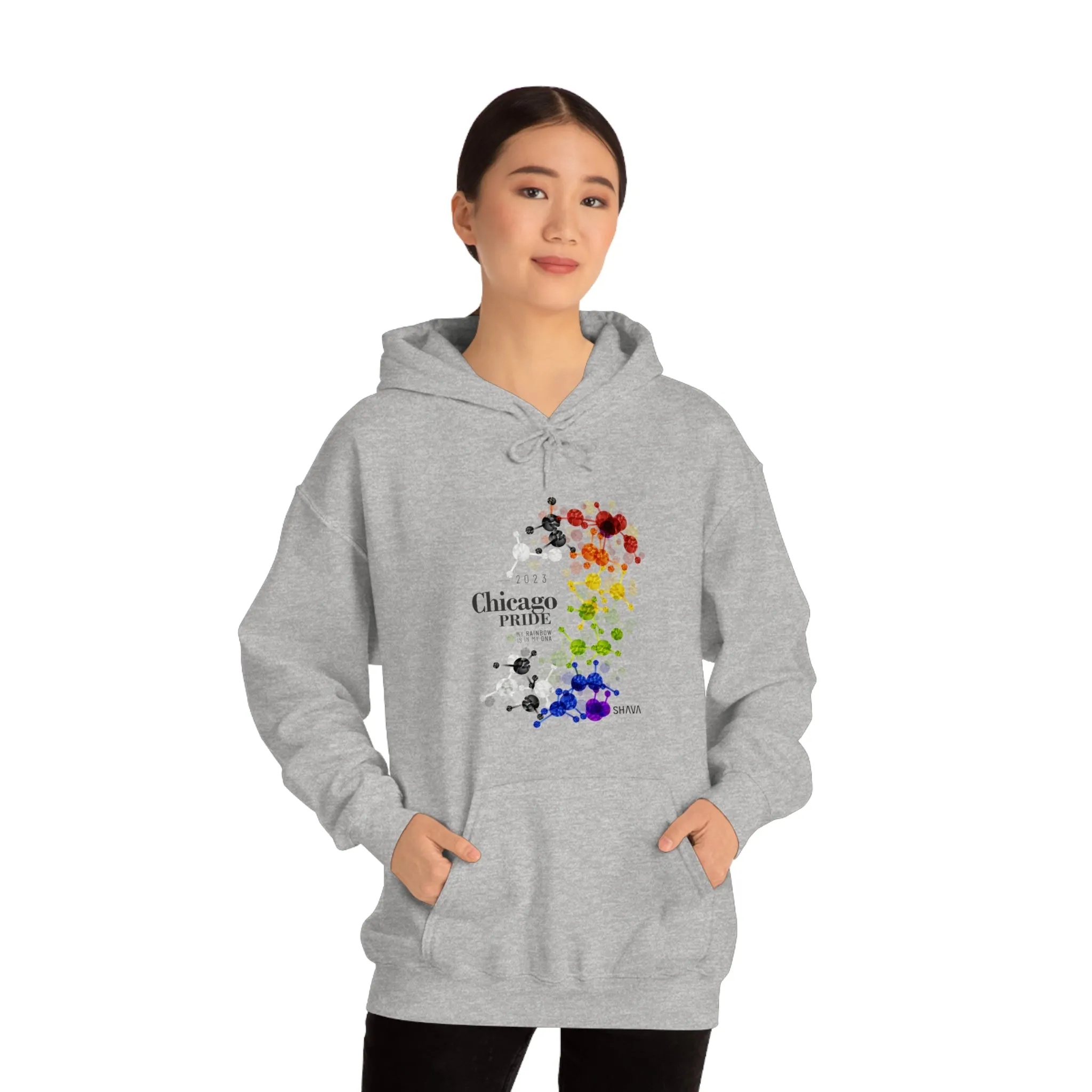 SHAVA CO Straight Ally Flag 2023 Pride, Chicago Unisex Heavy Blend™ Hooded Sweatshirt - My Rainbow Is In My DNA