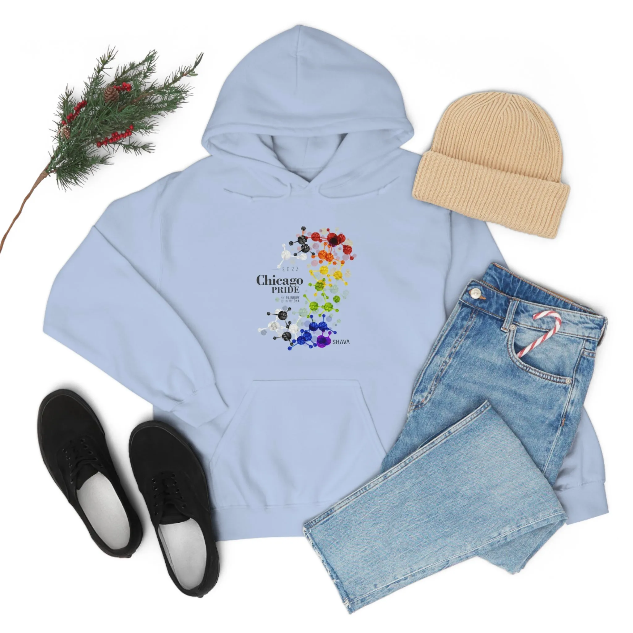 SHAVA CO Straight Ally Flag 2023 Pride, Chicago Unisex Heavy Blend™ Hooded Sweatshirt - My Rainbow Is In My DNA