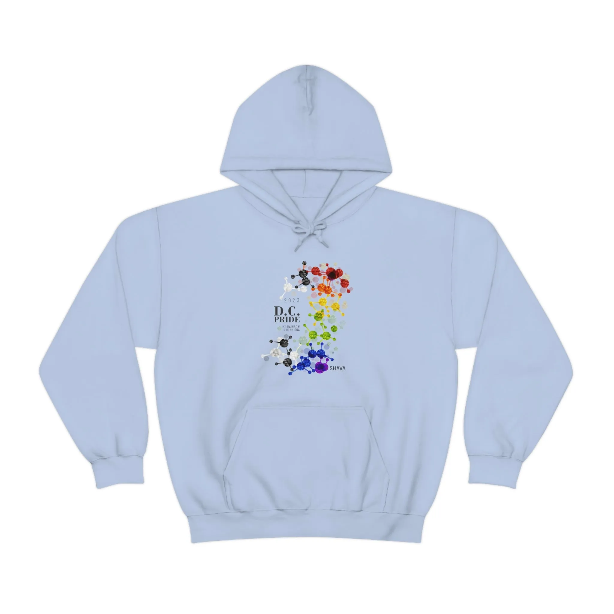 SHAVA CO Straight Ally  Flag 2023 Pride, Washington D.C Unisex Heavy Blend™ Hooded Sweatshirt - My Rainbow Is In My DNA