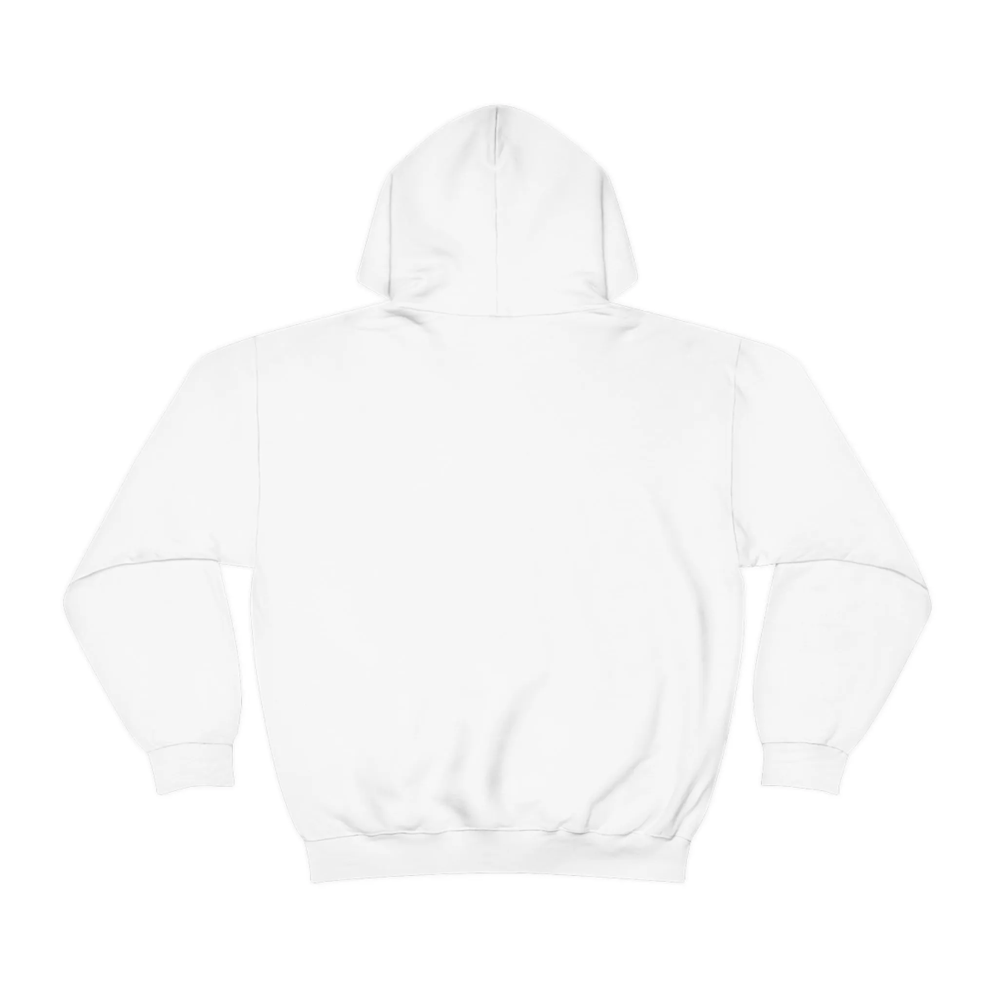 SHAVA CO Straight Ally  Flag 2023 Pride, Washington D.C Unisex Heavy Blend™ Hooded Sweatshirt - My Rainbow Is In My DNA