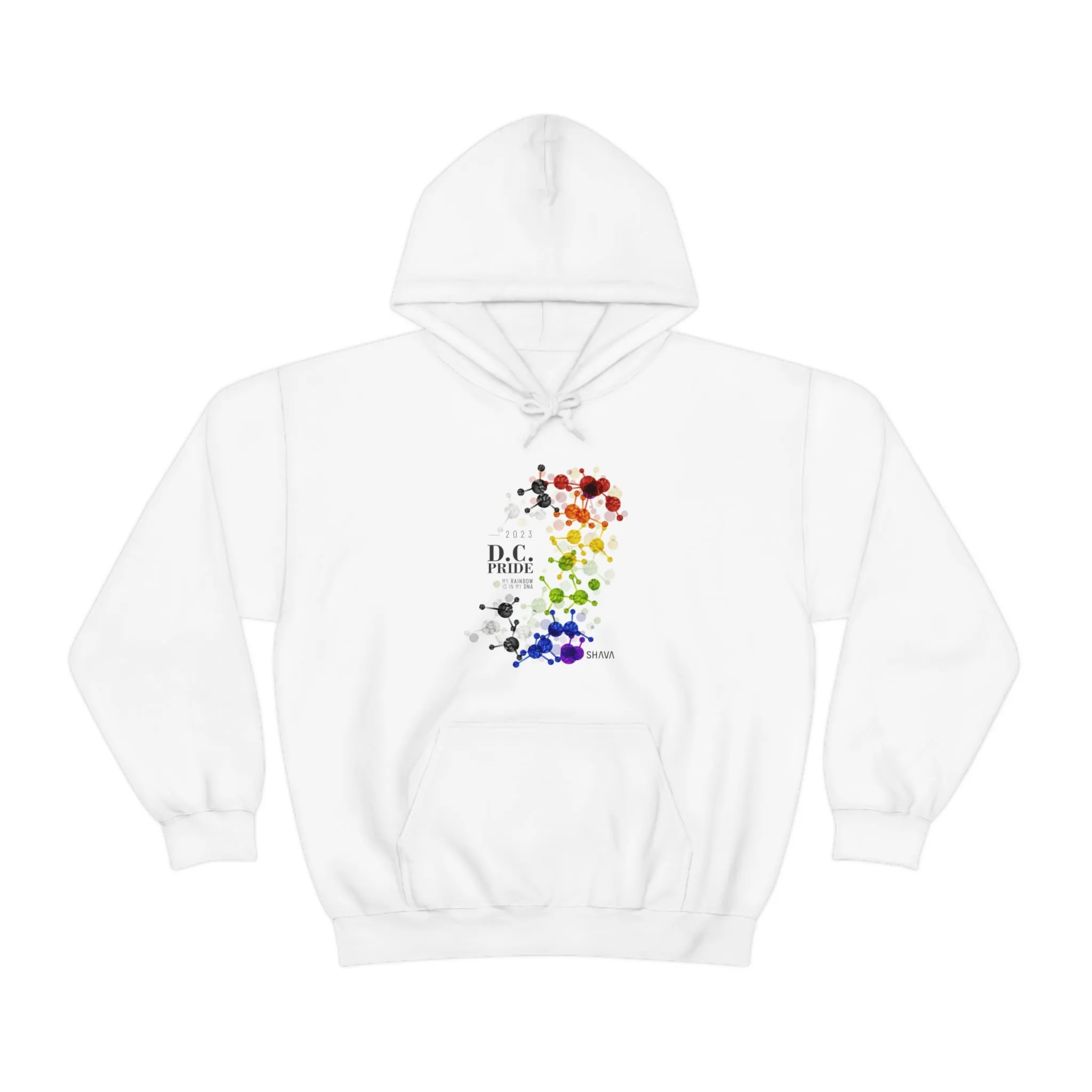 SHAVA CO Straight Ally  Flag 2023 Pride, Washington D.C Unisex Heavy Blend™ Hooded Sweatshirt - My Rainbow Is In My DNA