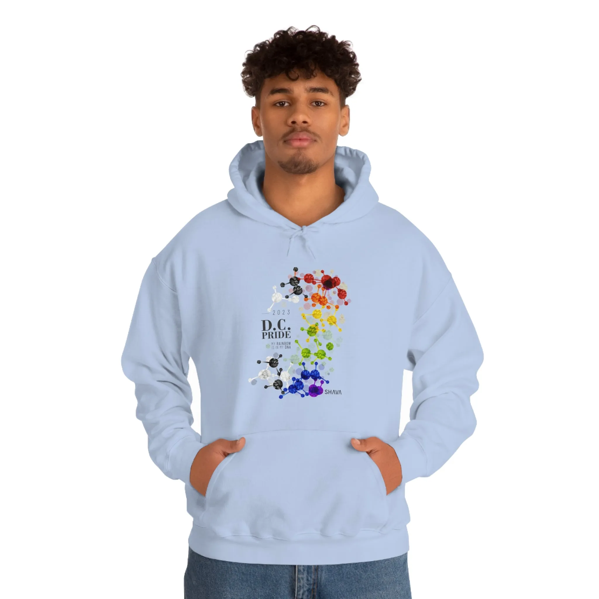 SHAVA CO Straight Ally  Flag 2023 Pride, Washington D.C Unisex Heavy Blend™ Hooded Sweatshirt - My Rainbow Is In My DNA
