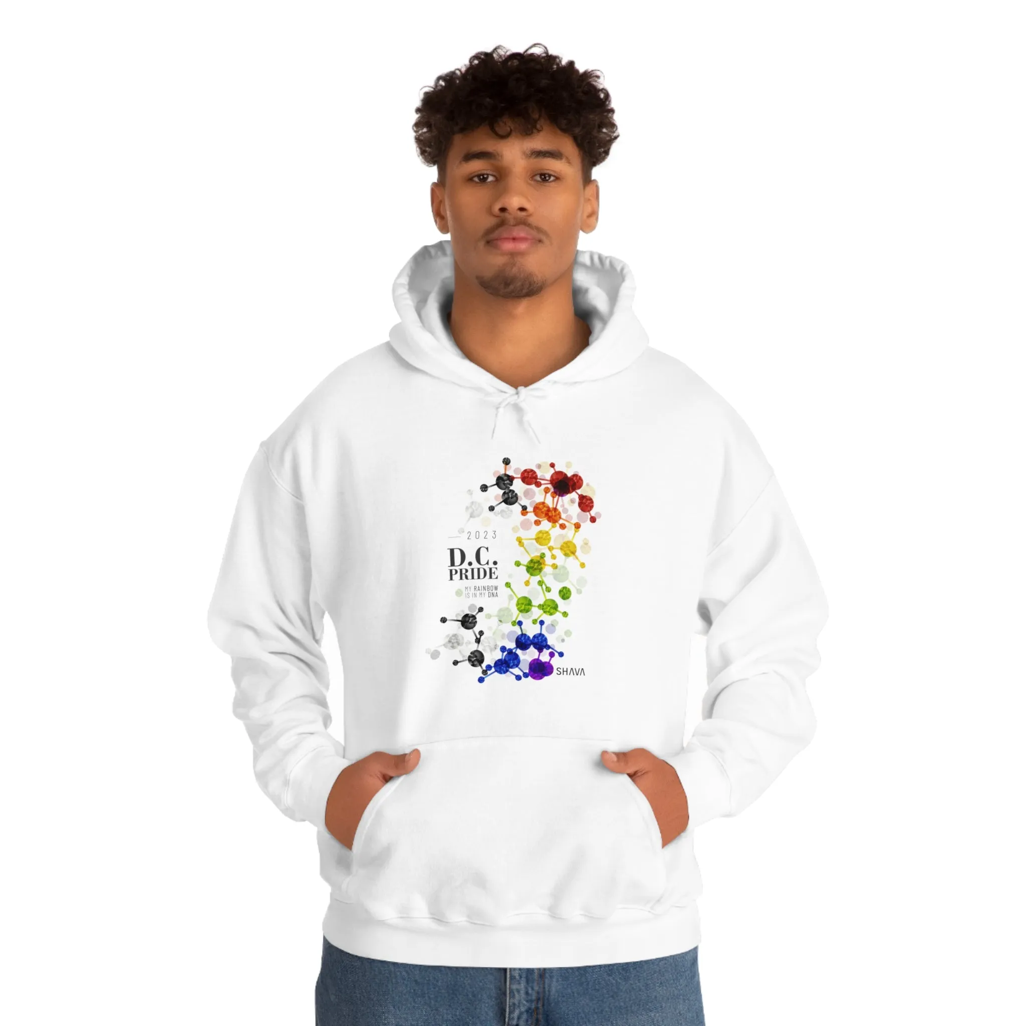 SHAVA CO Straight Ally  Flag 2023 Pride, Washington D.C Unisex Heavy Blend™ Hooded Sweatshirt - My Rainbow Is In My DNA