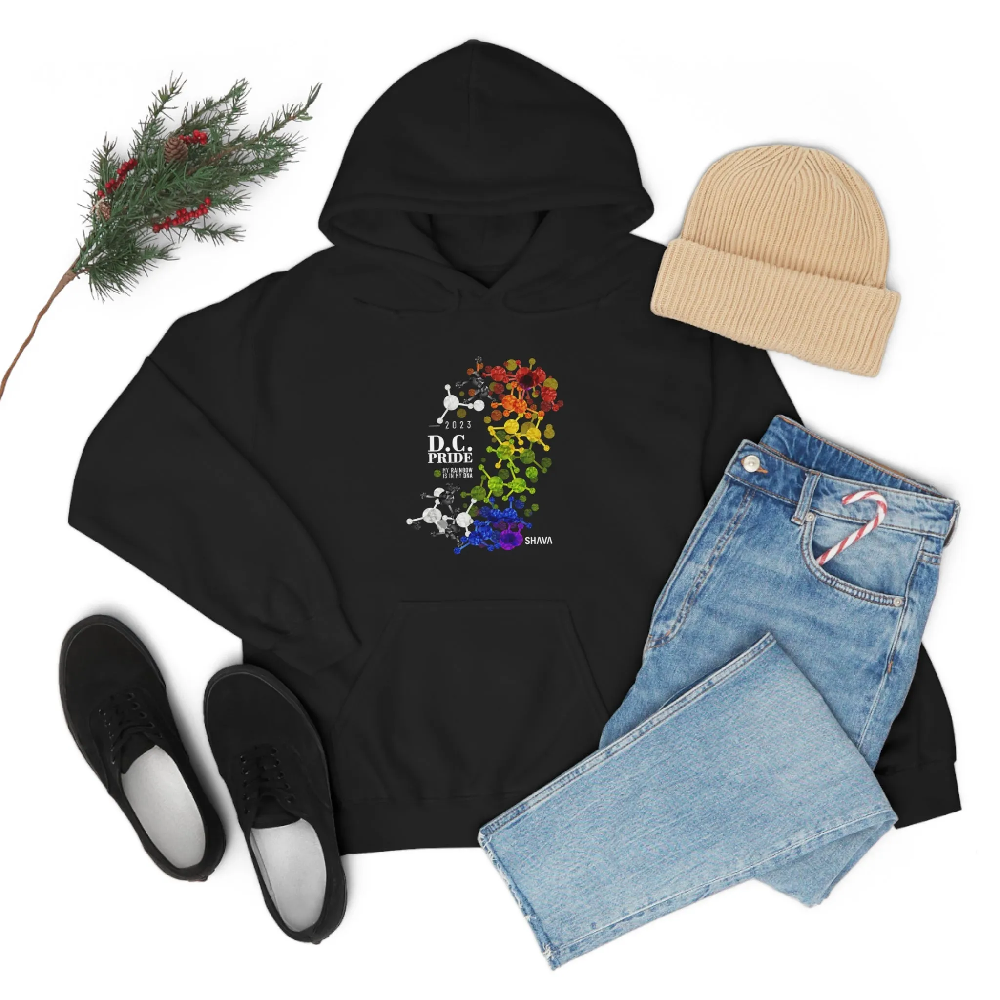 SHAVA CO Straight Ally  Flag 2023 Pride, Washington D.C Unisex Heavy Blend™ Hooded Sweatshirt - My Rainbow Is In My DNA