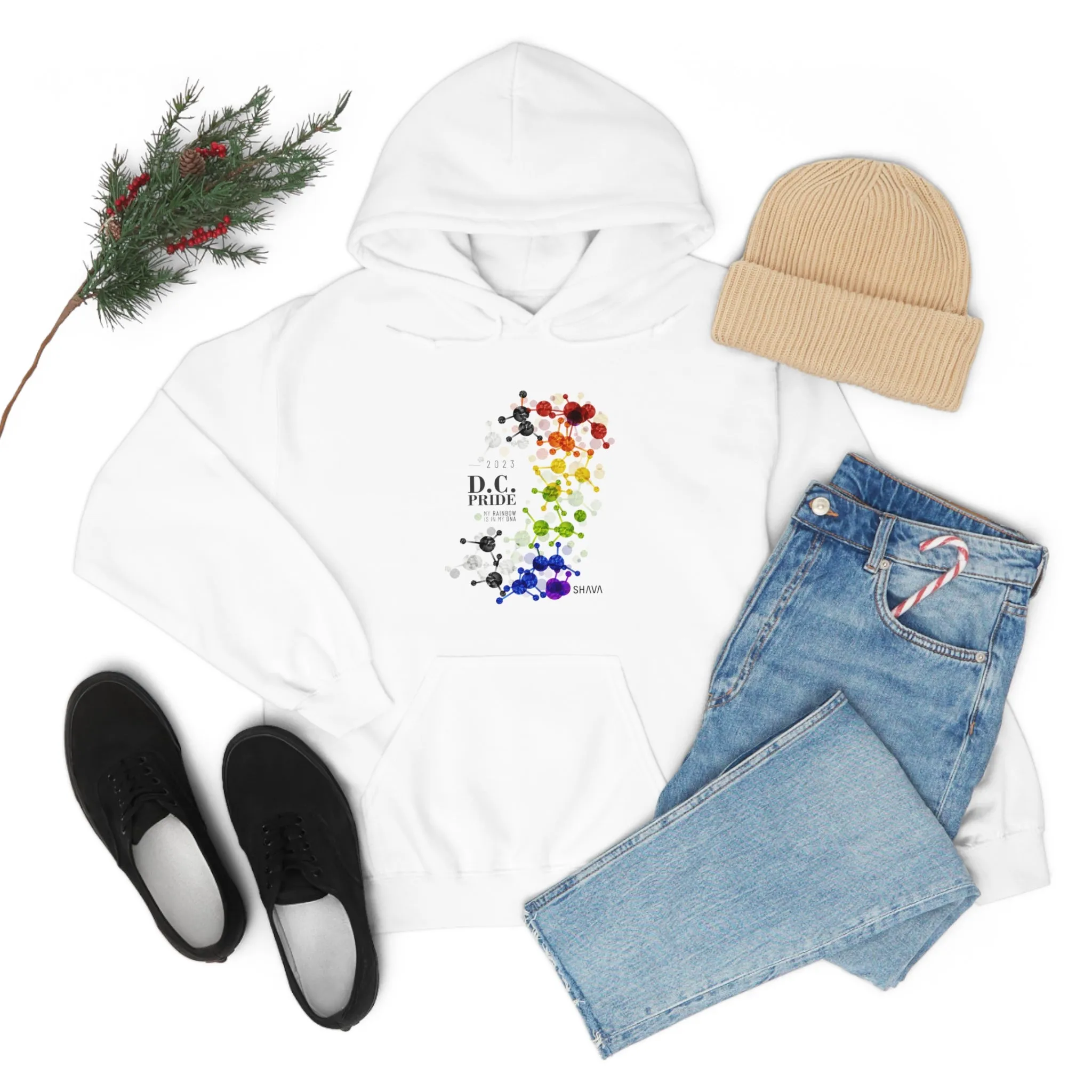 SHAVA CO Straight Ally  Flag 2023 Pride, Washington D.C Unisex Heavy Blend™ Hooded Sweatshirt - My Rainbow Is In My DNA