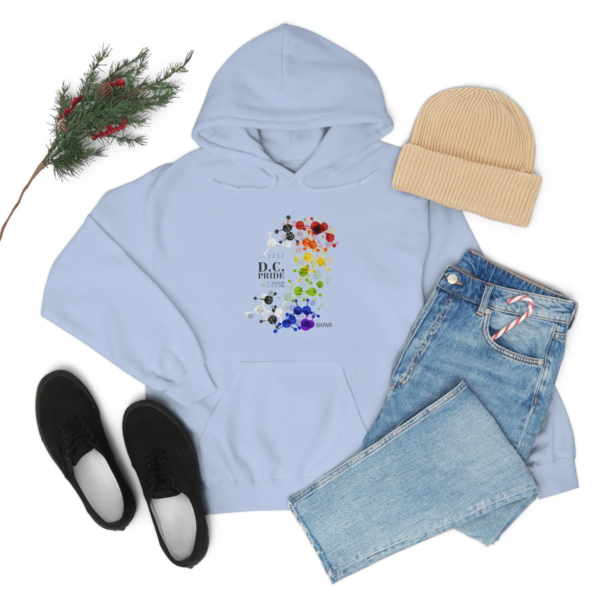 SHAVA CO Straight Ally  Flag 2023 Pride, Washington D.C Unisex Heavy Blend™ Hooded Sweatshirt - My Rainbow Is In My DNA