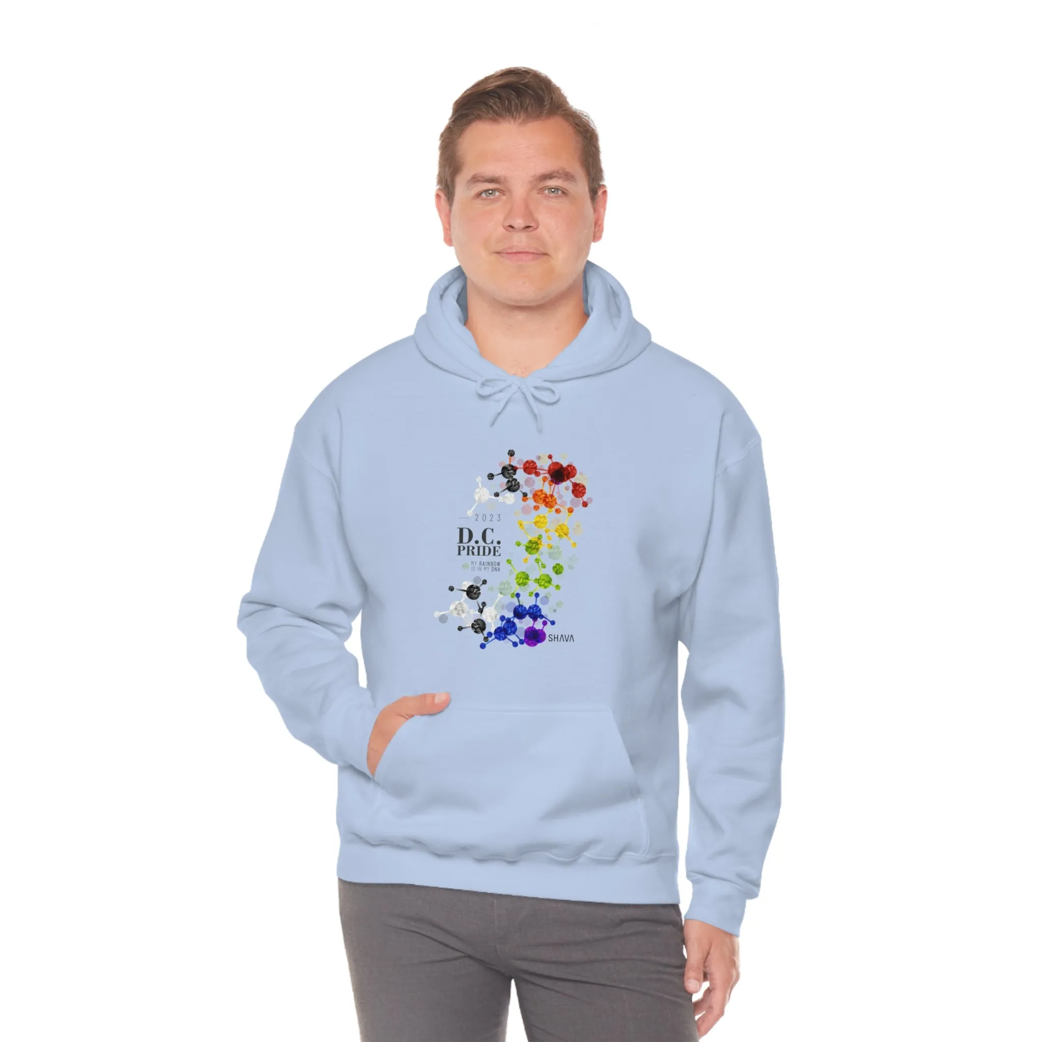 SHAVA CO Straight Ally  Flag 2023 Pride, Washington D.C Unisex Heavy Blend™ Hooded Sweatshirt - My Rainbow Is In My DNA
