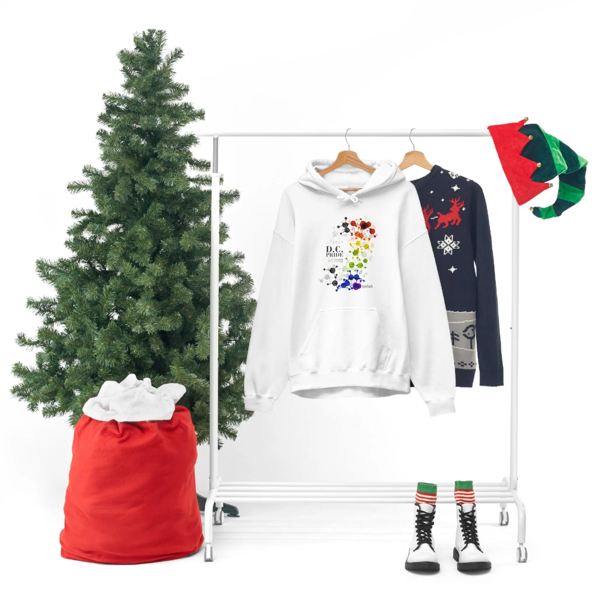 SHAVA CO Straight Ally  Flag 2023 Pride, Washington D.C Unisex Heavy Blend™ Hooded Sweatshirt - My Rainbow Is In My DNA