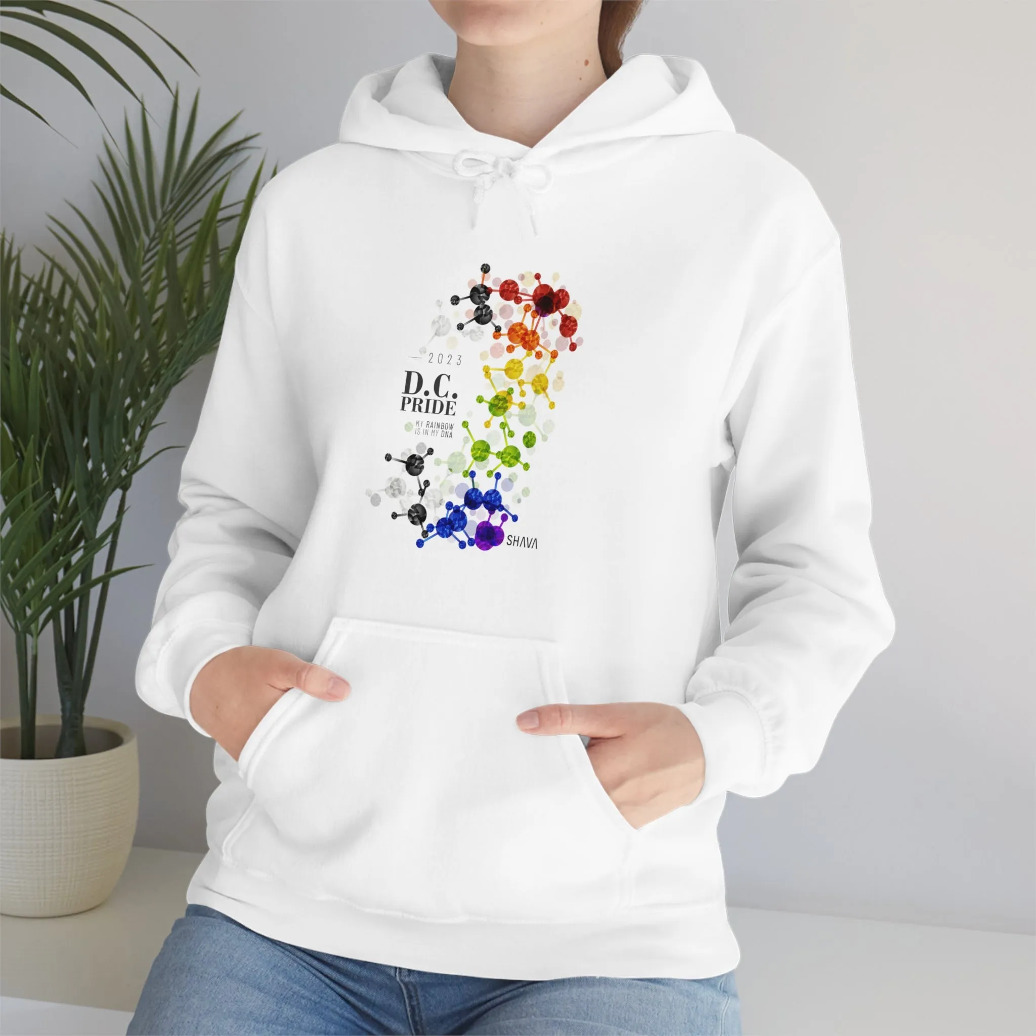 SHAVA CO Straight Ally  Flag 2023 Pride, Washington D.C Unisex Heavy Blend™ Hooded Sweatshirt - My Rainbow Is In My DNA