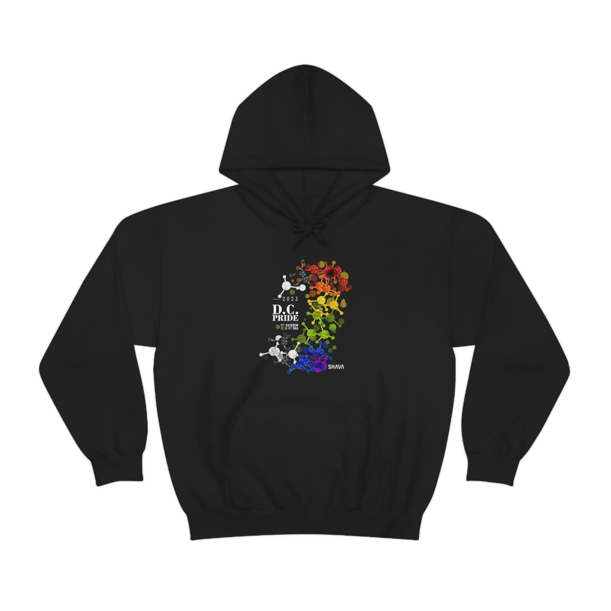 SHAVA CO Straight Ally  Flag 2023 Pride, Washington D.C Unisex Heavy Blend™ Hooded Sweatshirt - My Rainbow Is In My DNA