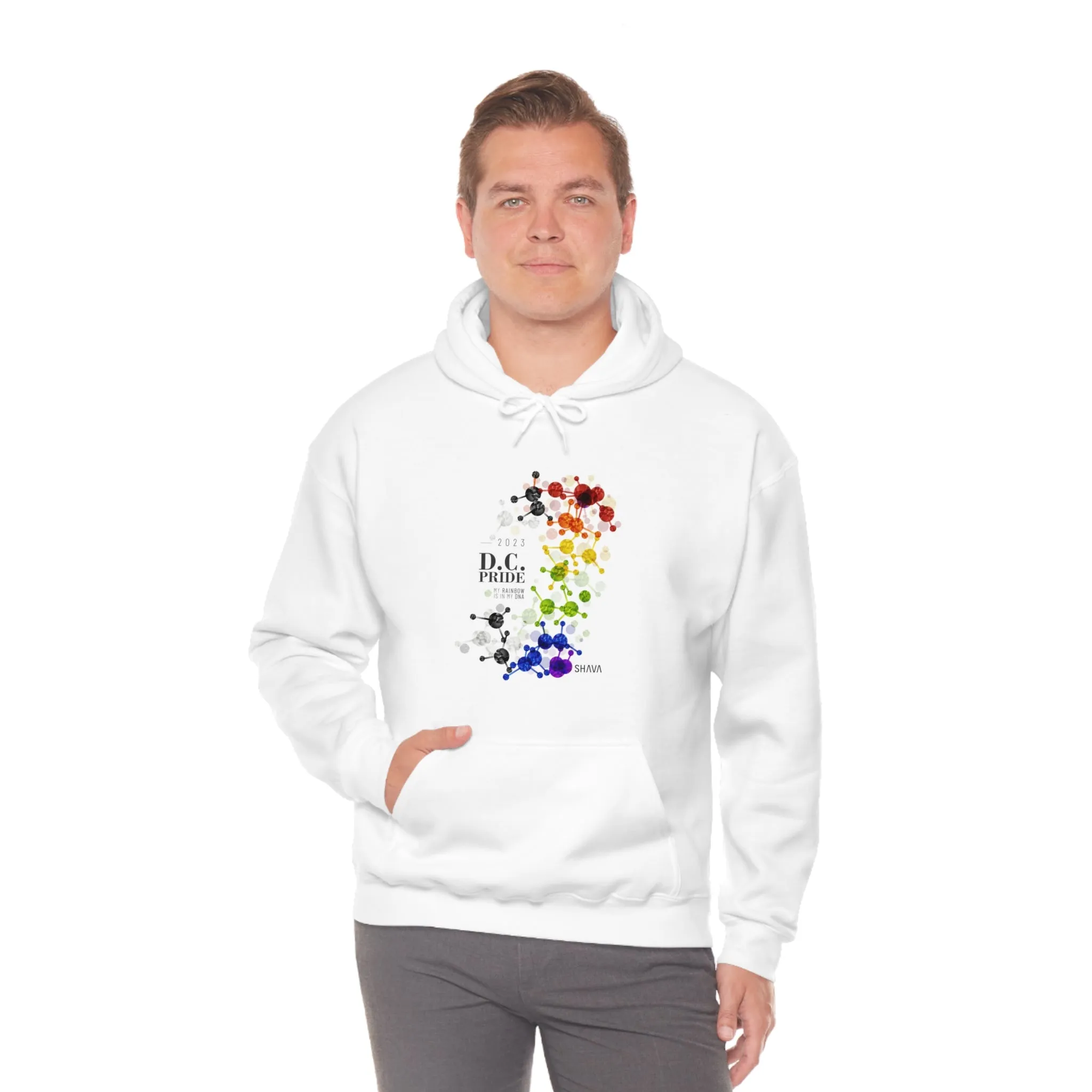 SHAVA CO Straight Ally  Flag 2023 Pride, Washington D.C Unisex Heavy Blend™ Hooded Sweatshirt - My Rainbow Is In My DNA