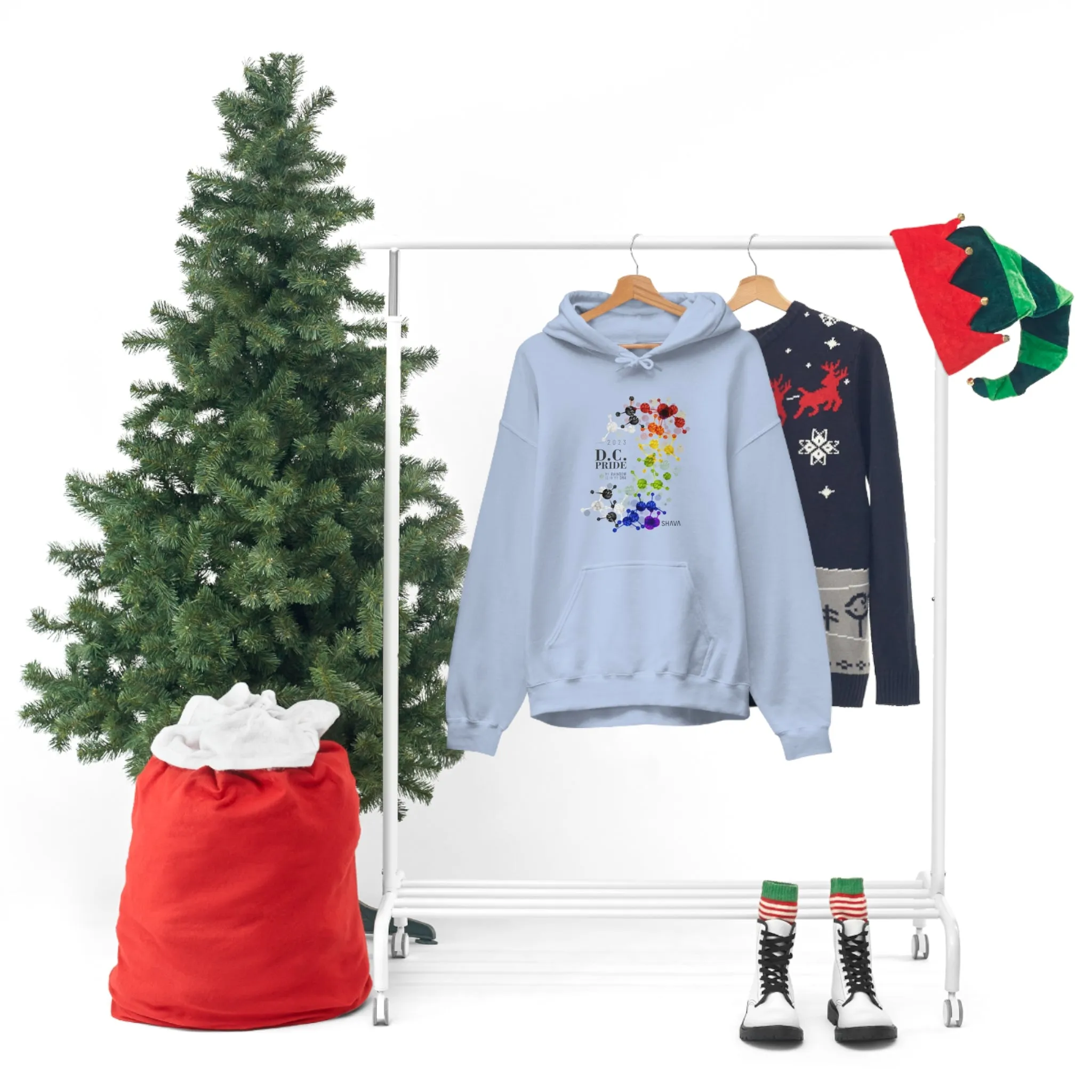 SHAVA CO Straight Ally  Flag 2023 Pride, Washington D.C Unisex Heavy Blend™ Hooded Sweatshirt - My Rainbow Is In My DNA