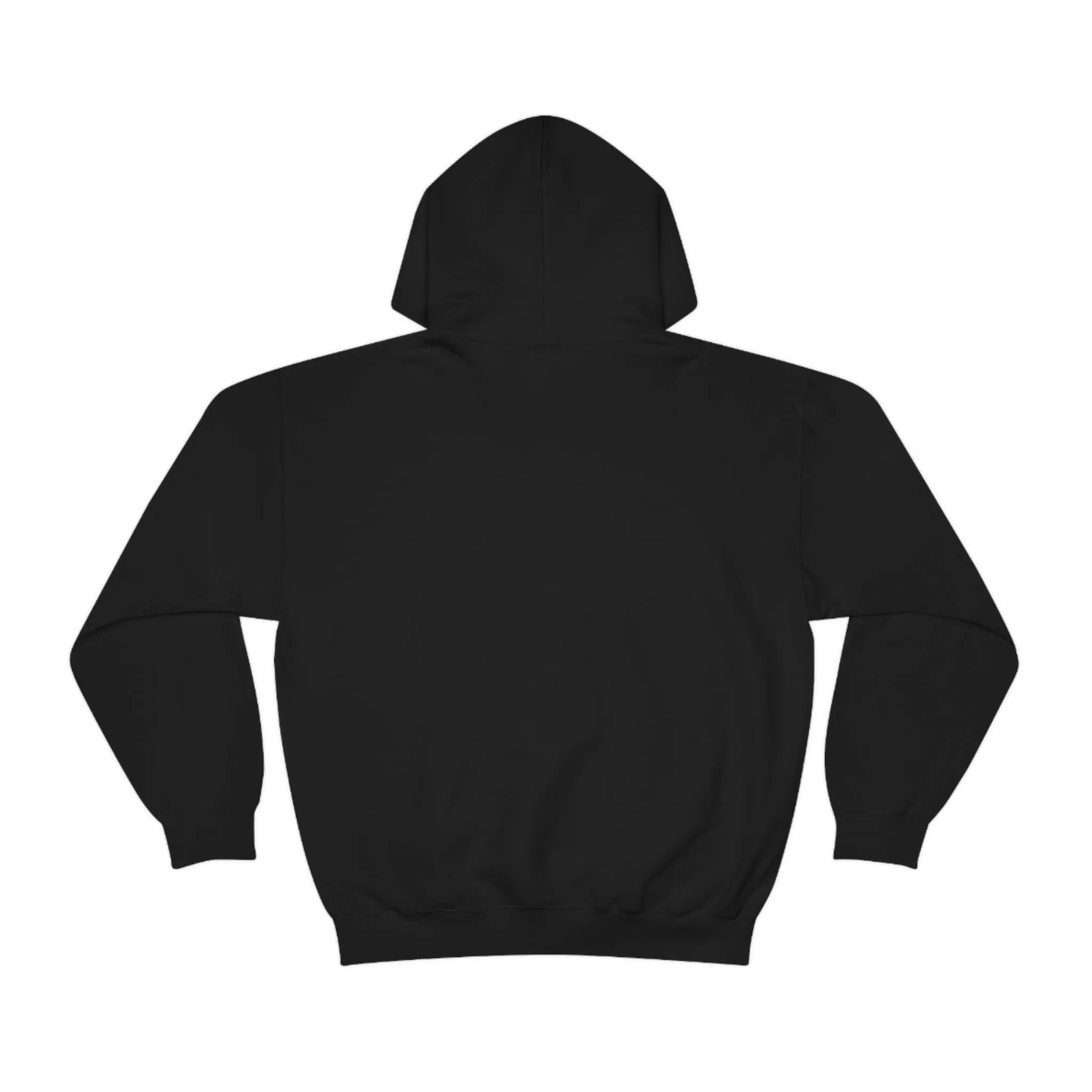 SHAVA CO Straight Ally  Flag 2023 Pride, Washington D.C Unisex Heavy Blend™ Hooded Sweatshirt - My Rainbow Is In My DNA