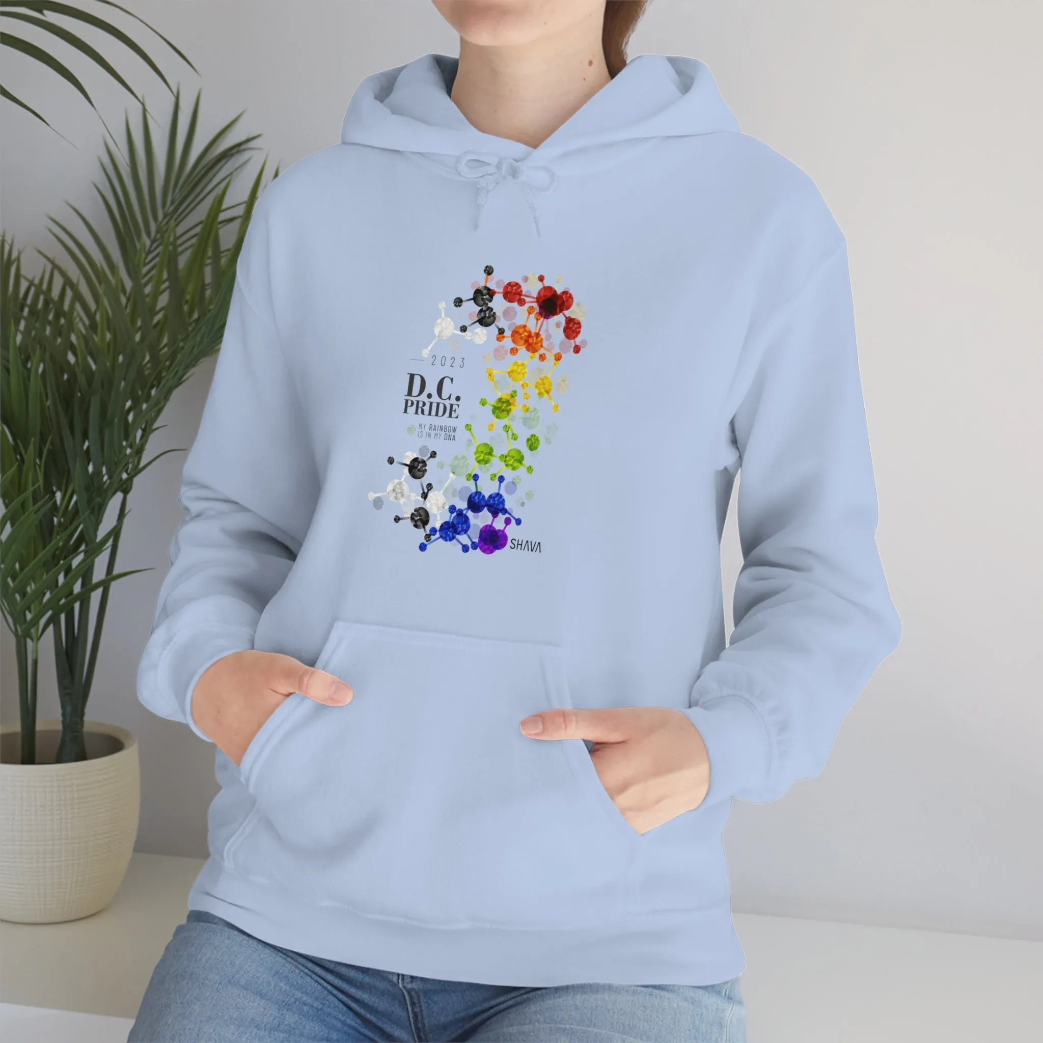 SHAVA CO Straight Ally  Flag 2023 Pride, Washington D.C Unisex Heavy Blend™ Hooded Sweatshirt - My Rainbow Is In My DNA