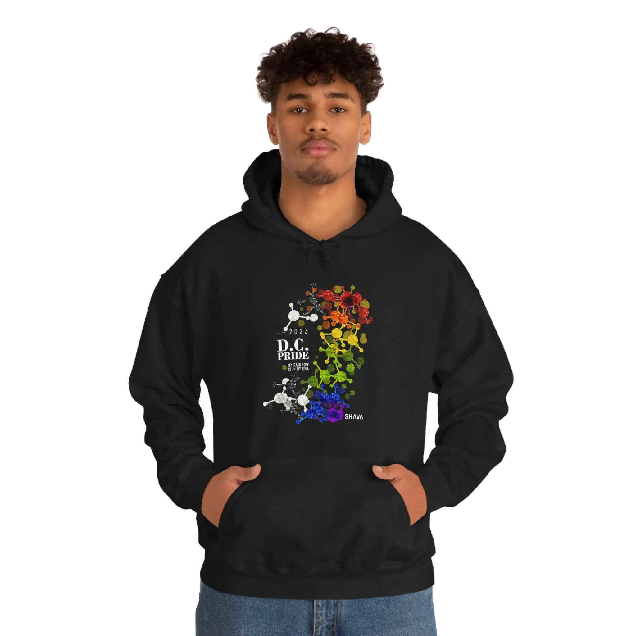 SHAVA CO Straight Ally  Flag 2023 Pride, Washington D.C Unisex Heavy Blend™ Hooded Sweatshirt - My Rainbow Is In My DNA