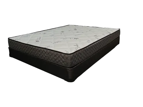 Sleep In Mattress Matelas en Mousse Dreamopedic 8" (1.5lb)