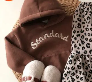 Toddler Embroidered Hoodie